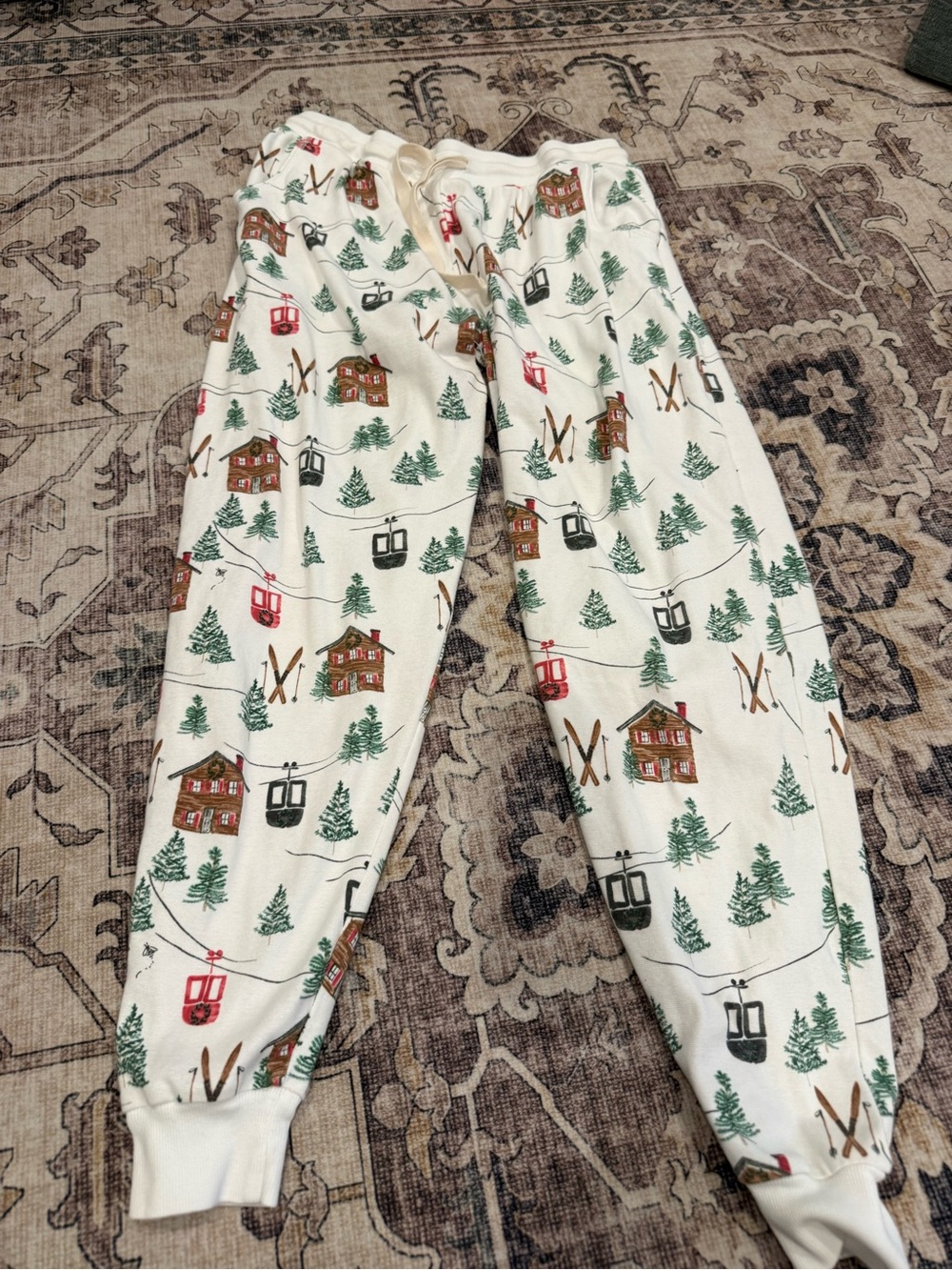 Burt’s Bees Ski the Alps jogger pajama pants-medium